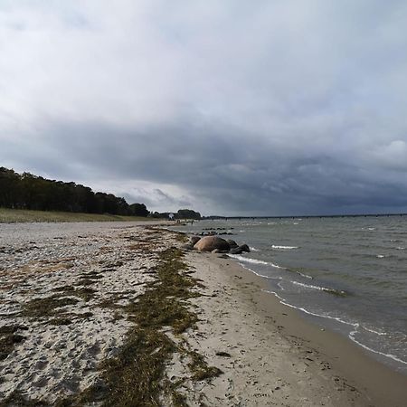 Ferienwohnungen "Weitblick" Und "Schwalbennest" Lodmannshagen Номер фото